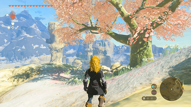 バメの丘｜気温の低いヘブラ地方に桜が咲く神秘的な高台